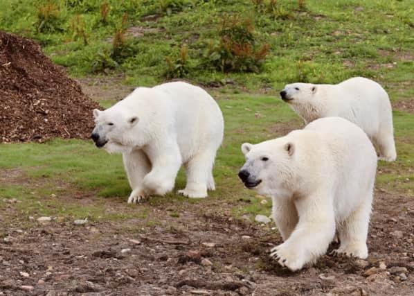 Chic 2 Bed Peak District Cottage Barn Near Alton Towers, Polar Bears, Chatsworth House Leek Exterior photo
